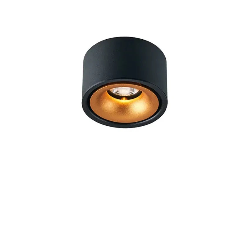 LED Recessed Ceiling Spotlight with Adjustable Head | Anti-Glare Design for Glare-Free Accent Lighting