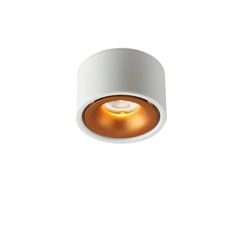 LED Recessed Ceiling Spotlight with Adjustable Head | Anti-Glare Design for Glare-Free Accent Lighting