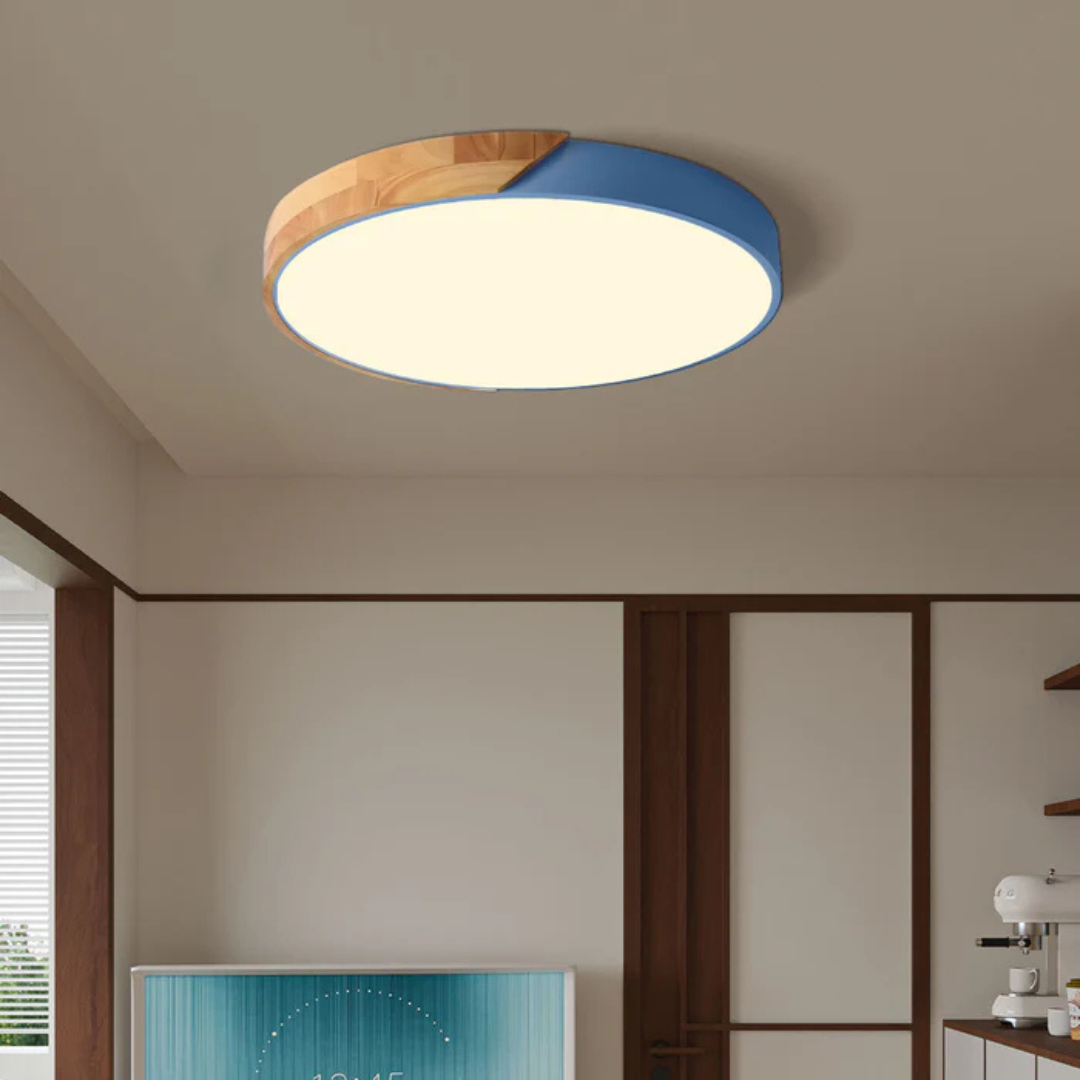 Scandinavian LED Ceiling Light Fixture with Energy-Efficient Design | Modern Flush Mount for Cozy Interiors