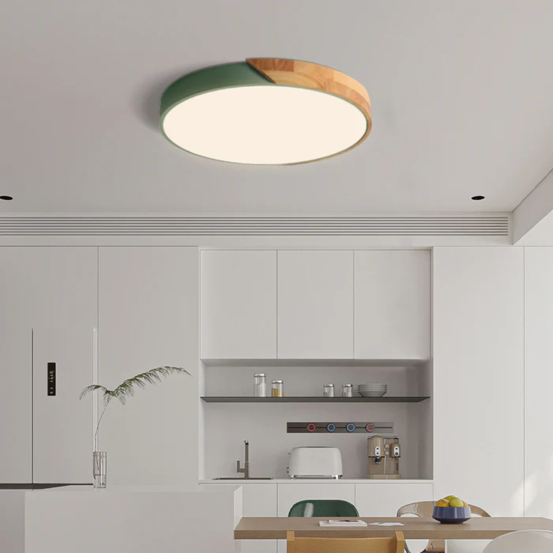 Scandinavian LED Ceiling Light Fixture with Energy-Efficient Design | Modern Flush Mount for Cozy Interiors