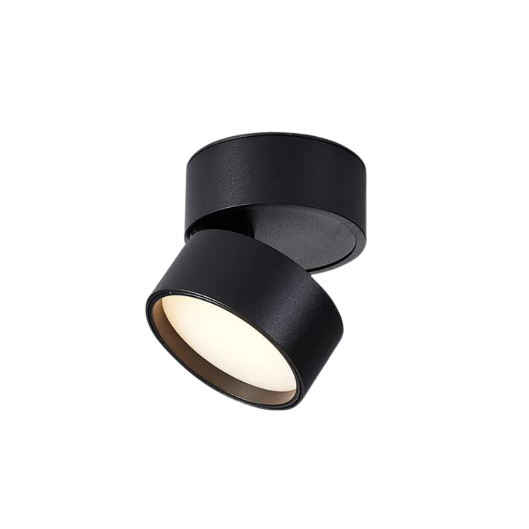 Sleek LED Ceiling Light Fixture with Adjustable Lighting | Modern Design for Any Room