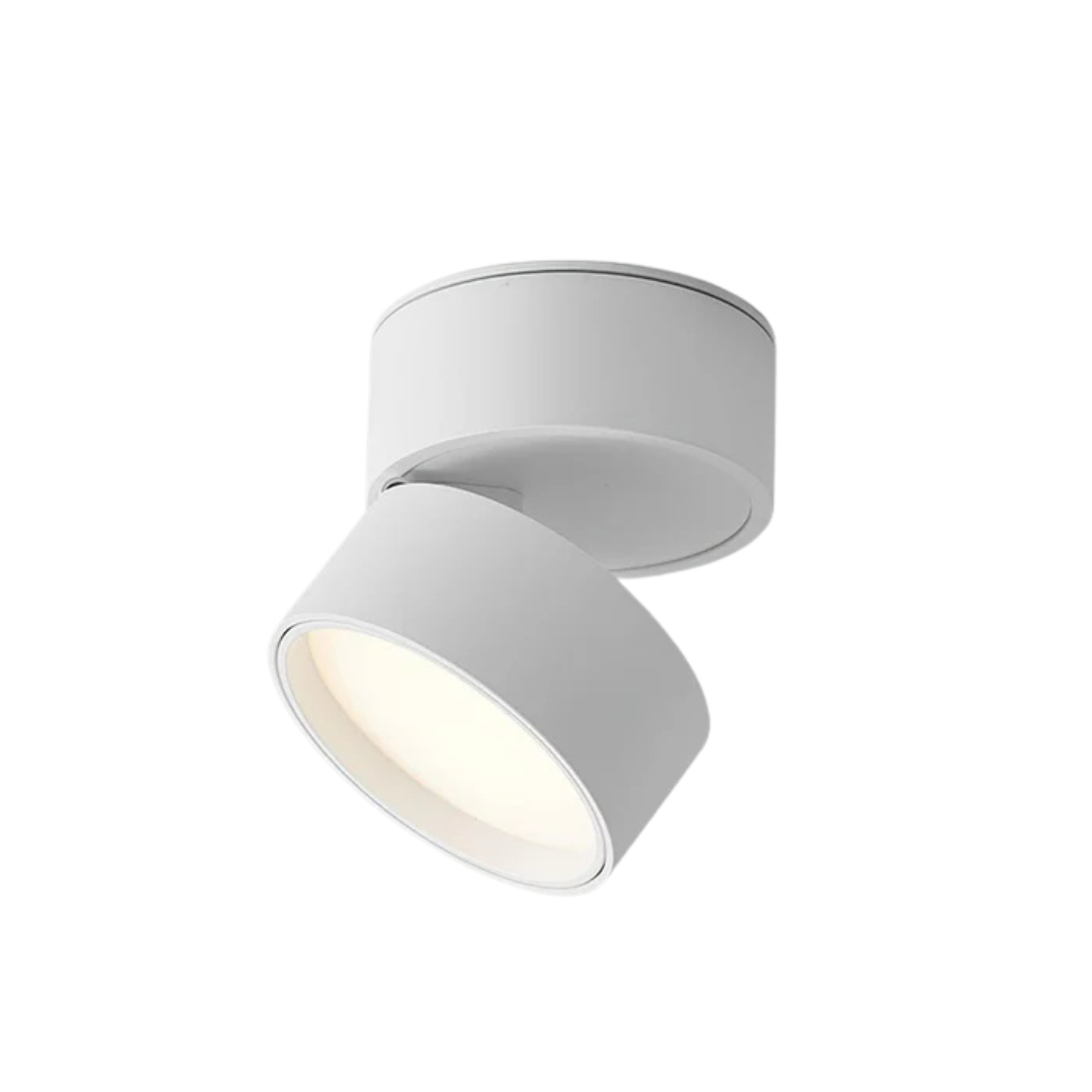 Sleek LED Ceiling Light Fixture with Adjustable Lighting | Modern Design for Any Room